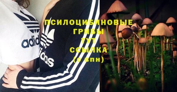 МДПВ Абаза