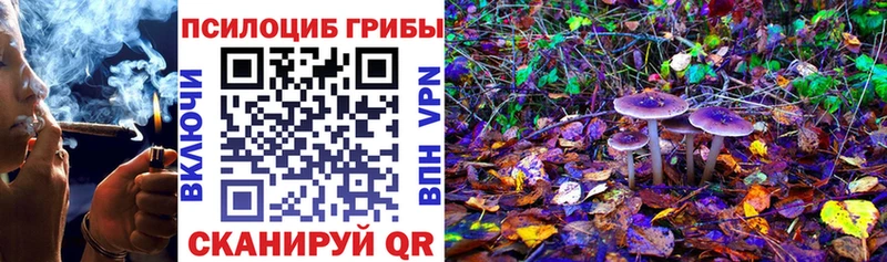 mega   Алзамай  Псилоцибиновые грибы GOLDEN TEACHER  купить наркотики сайты 